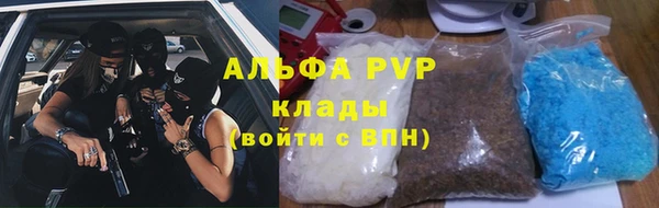 дмт Бородино