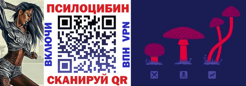 где найти наркотики  Хасавюрт  Галлюциногенные грибы прущие грибы 