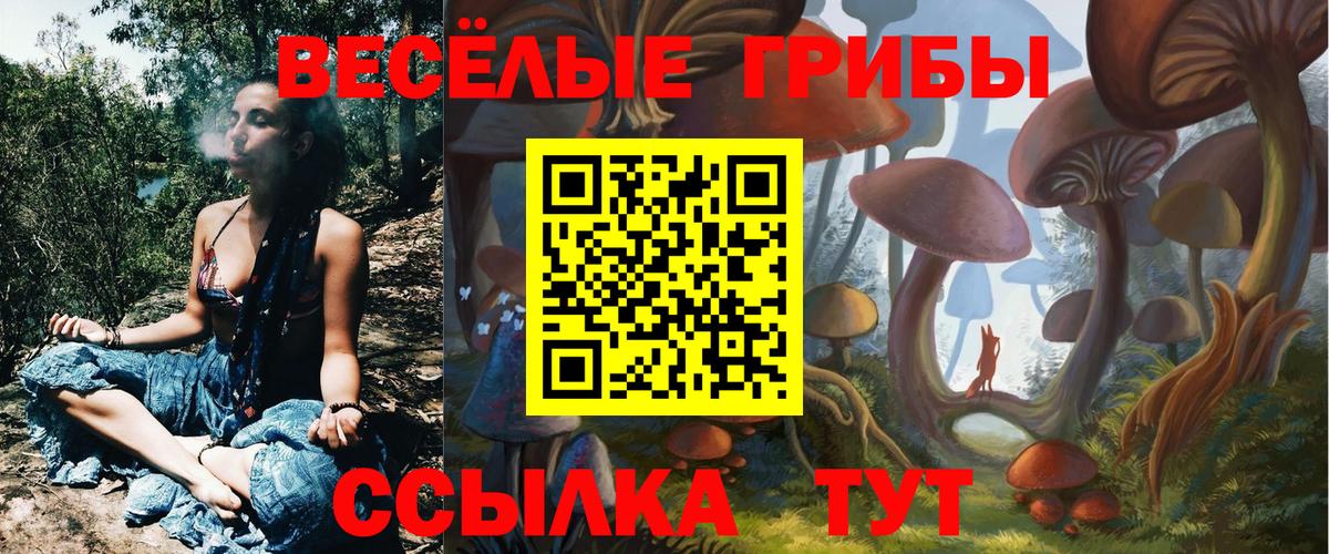Галлюциногенные грибы мухоморы  дарнет шоп  Хасавюрт  Вход с VPN 
