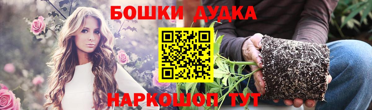 Шишки марихуана OG Kush Хасавюрт